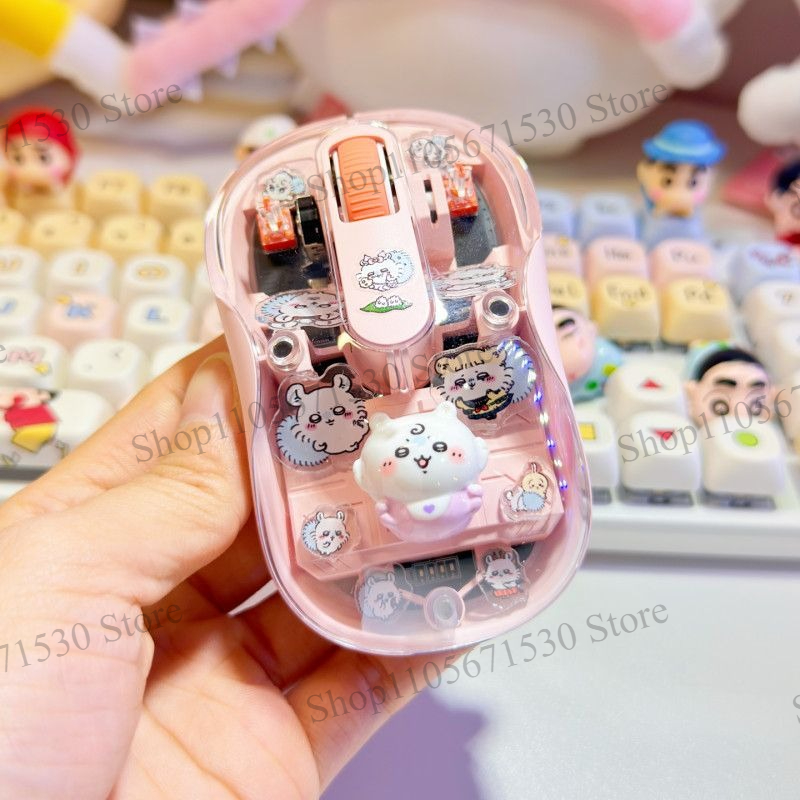 Kawaii Chiikawa Transparent Ku - Kawaii Tech Accessories review and price